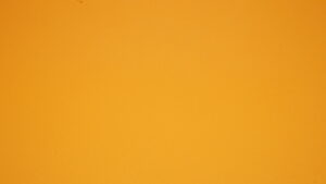 Cartoncin 250gsm