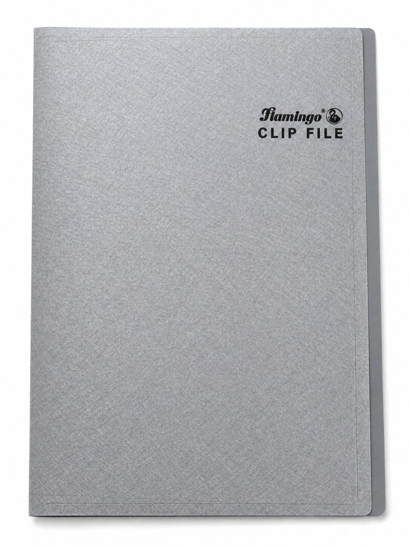 Lever Clip File
